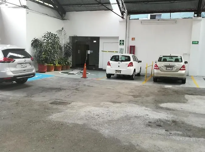 Dharma México DF